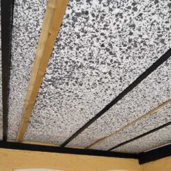 moss removal Cambridgeshire