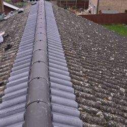Cambridgeshire moss removal services