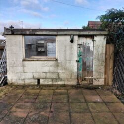moss removal services near me