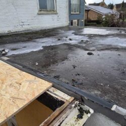Cambridgeshire moss removal