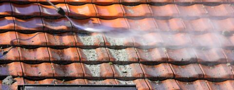 Roof Cleaning & Coating