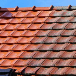 Roof Cleaning & Coating Experts near me Spalding
